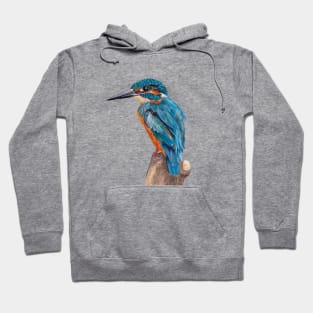 Kingfisher, Watercolor Kingfisher, Watercolor bird, Bird Painting, Blue bird Hoodie